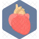 Heart  Icon