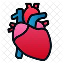 Heart  Icon