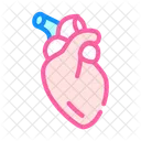 Heart  Icon