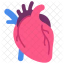 Heart  Icon