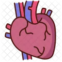 Heart  Icon