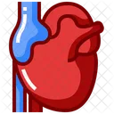 Heart  Icon