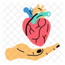 Heart Care  Icon