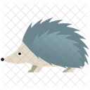 Hegdehog  Icon