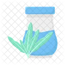 Leaf Herb Rosemary Icon