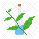 Leaf Herb Rosemary Icon