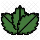 Herb  Icon