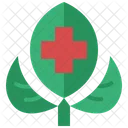 Herb Herbal Medicine Icon