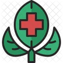 Herb Herbal Medicine Icon