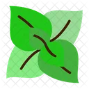 Herb Leaves Mint Icon