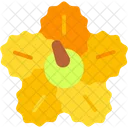 Hibiscus Petals Flower Icon