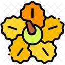 Hibiscus Petals Flower Icon