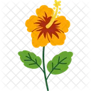 Hibiscus Icon