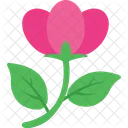 Hibiscus Flower Rose Icon