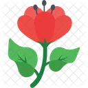 Hibiscus Flower Rose Icon