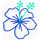 Hibiscus  Icon