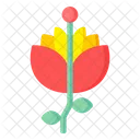 Hibiscus  Icon