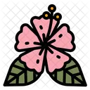 Hibiscus Flower Blossom Icon