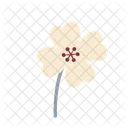 Hibiscus  Icon