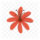 Flower Floral Blossom Icon