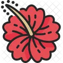 Hibiscus  Icon