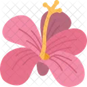 Hibiscus  Icon