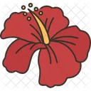 Hibiscus  Icon