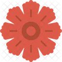 Hibiscus  Icon