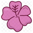 Hibiscus  Icon