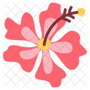 Hibiscus  Icon