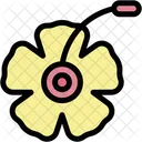 Hibiscus  Icon