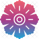 Hibiscus  Icon