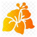 Hibiscus  Icon