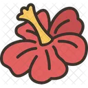 Hibiscus  Icon