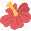 Hibiscus  Icon