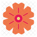 Flower Nature Floral Icon