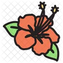 Hibiscus Flower  Icon