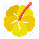 Hibiscus Nature Flower Icon