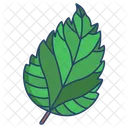 Hibiscus Leaf  Icon