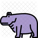 Hippo  Icon