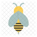 Honey Bee Insect Icon