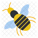 Bee Insect Bumblebee Icon