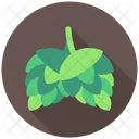 Hops Beer Brewing Icon