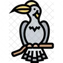 Hornbill  Icon