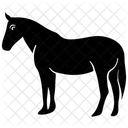 Horse Mare Colt Icon