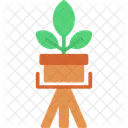 Houseplant Plant Pot Symbol