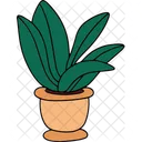 Plant Nature Pot Icon