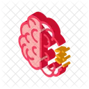 Brain Head Human Icon