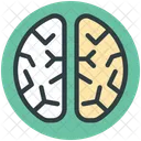 Human Brain Head Icon