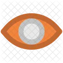 Human Eye Watcher Icon